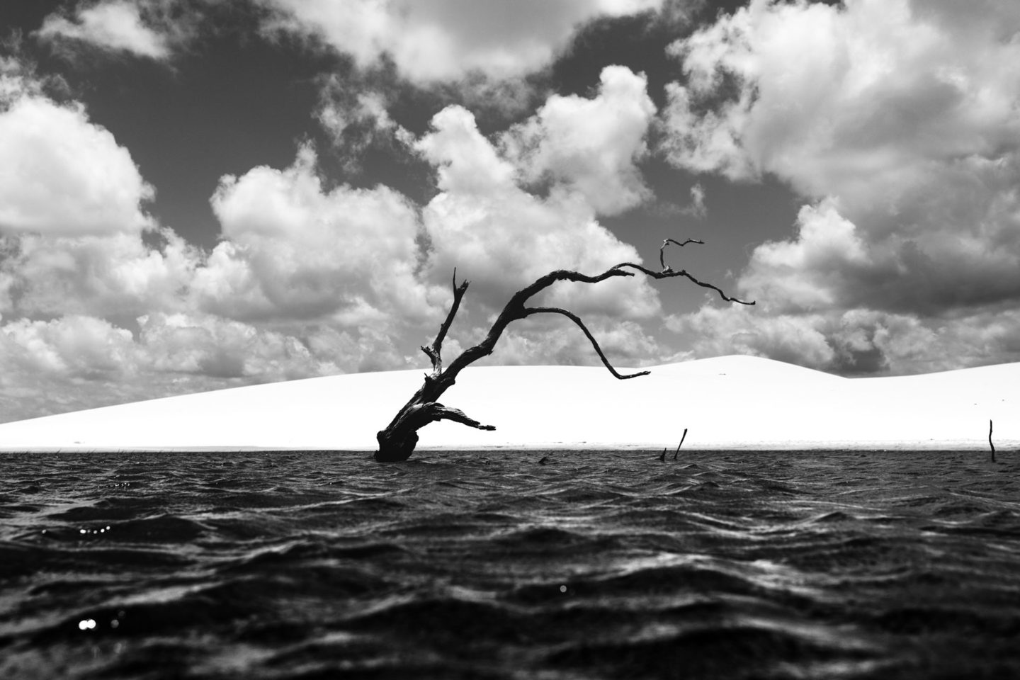 1000 Tons de Cinza - Lençóis Maranhenses